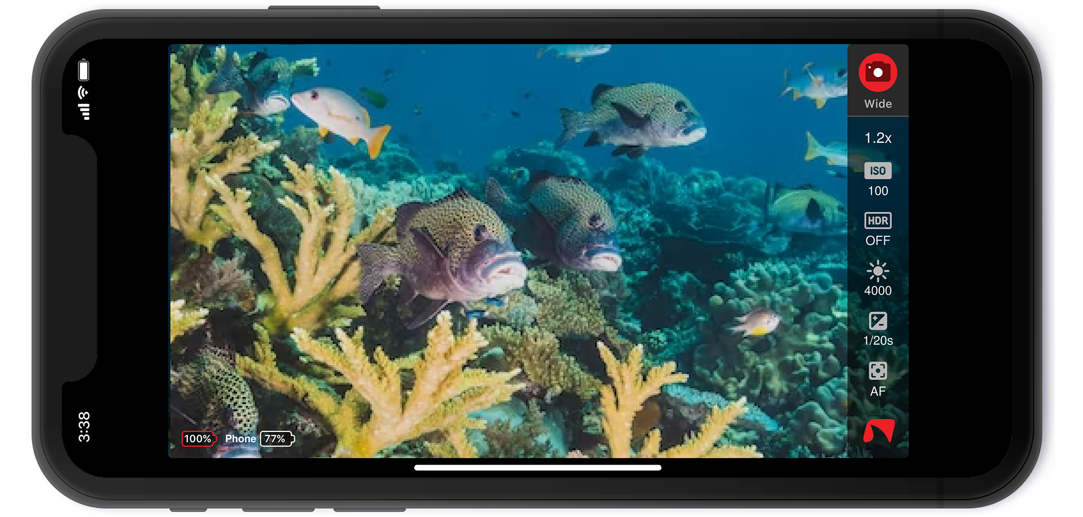 Easydive Pics App dashboard